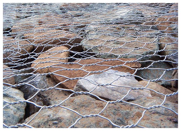 品牌實(shí)力,多年耕耘 · 實(shí)力深厚